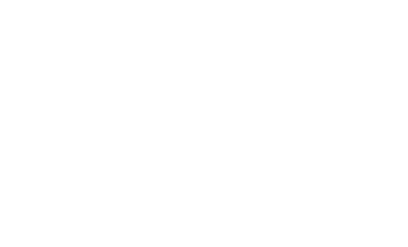 40X